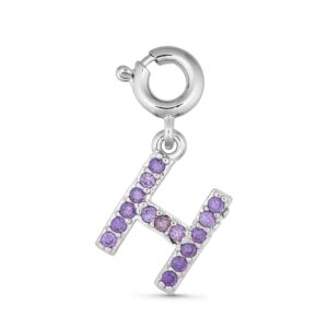 ANNEBRAUNER H Charm