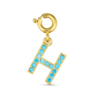 ANNEBRAUNER H Charm