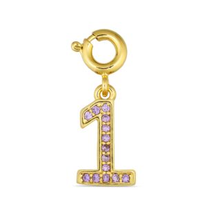 ANNEBRAUNER Number 1 Charm