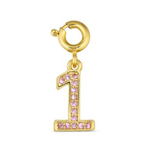 ANNEBRAUNER Number 1 Charm