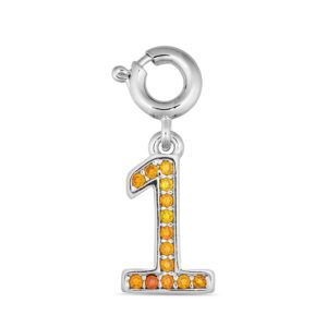 ANNEBRAUNER Number 1 Charm