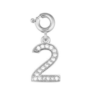 ANNEBRAUNER Number 2 Charm