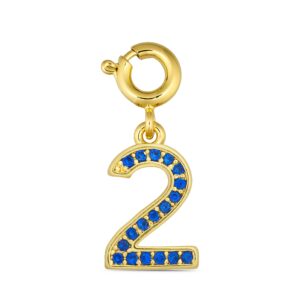 ANNEBRAUNER Number 2 Charm