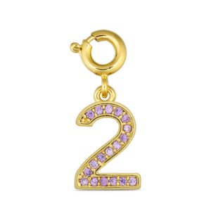 ANNEBRAUNER Number 2 Charm