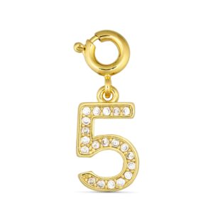 ANNEBRAUNER Number 5 Charm