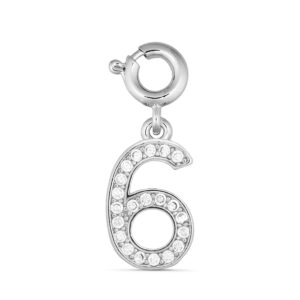 ANNEBRAUNER Number 6 Charm