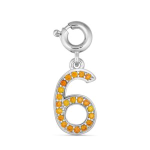 ANNEBRAUNER Number 6 Charm