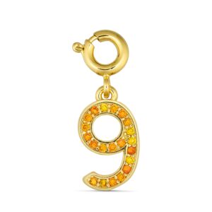 ANNEBRAUNER Number 9 Charm