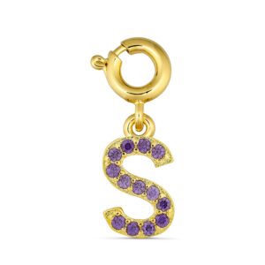 ANNEBRAUNER S Charm