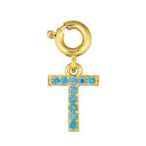 ANNEBRAUNER T Charm