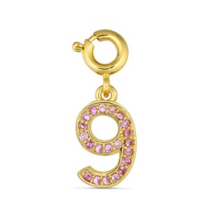 ANNERAUNER Number 9 Charm