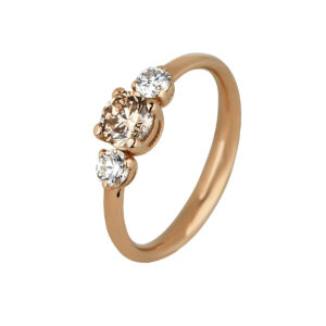 Champagne Dream Ring 14K Guld - 52