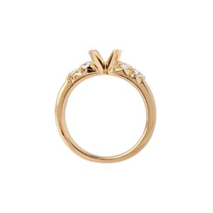 Kvintet Ring 14K guld