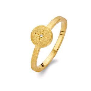 North Star Ring Forgyldt Sølv - 54